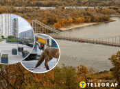 В Киеве увидели опасного хищника