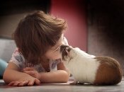 Какие домашние животные опасны для детей