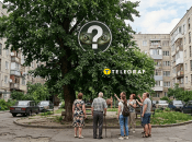 "Сюрприз" посреди двора