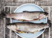Таку рибу треба вміти запекти, щоб вийшло смачно