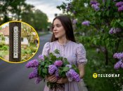 Украинцы подождали тепла