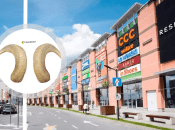 Рогатый скот