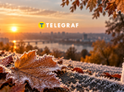 Перші заморозки