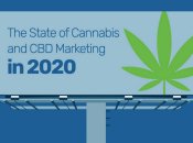 Молоді дівчата стали рекордними темпами вживати марихуану: останні дослідження з США