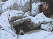 Зимой ищут теплые местечки как люди, так и животные