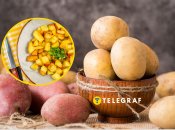 Важко знайти українця, який не любить картопельку