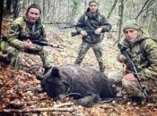 Прикордонники вбили ведмедицю? На Закарпатті спалахнув гучний скандал