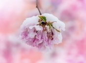 Погода в Украине на 1 марта