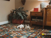 Важливе про підбір килима для кімнати