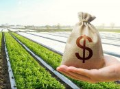 Украинский чернозем может стать одельной нишей на рынке земли