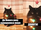 Найкращі меми про Новий 2025 рік