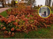 Осінній Київ