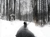 Якою буде погода в Україні до кінця тижня