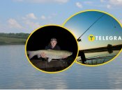 Коллаж "Телеграфа"