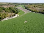 "Зашел в Никополе, вышел в Молдове": заросли на месте Каховского водохранилища насмешили украинцев