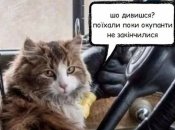 Социальные сети