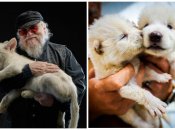 "Жахливі" вовченята