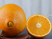 Апельсин Навел