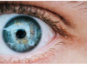 Мониторный синдром: как сохранить зрение ребенка, если он проводит много времени перед экраном