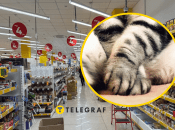 Мультимаркет "Аврора"