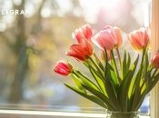 Тюльпаны – это посланцы весны, которые дарят нам свою красоту и аромат (фото создано с помощью ИИ)