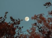 Психологічний тест з картинки