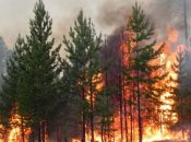 Рятувальники попереджають про надзвичайну пожежну небезпеку в ряді регіонів України: чого не можна робити