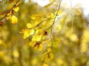 какой будет погода в Украине в конце сентября