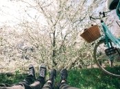 Прогулянка