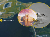 На "Тузлівських лиманах" селиться унікальний птах