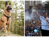 Герой ЧМ-2022 купил пса за 20 тысяч фунтов, чтобы охранял медаль