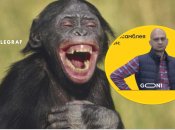 Колаж, "Телеграф"