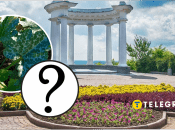 В центрі Полтави росте кабачок на тротуарі