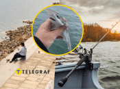 Рибалка нібито впіймав акулу в прісній воді