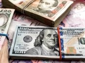 Особливих стрибків долара поки не передбачається