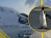 Ілюстративне фото