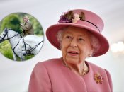 Єлизаветі II встановлять сучасний меморіал