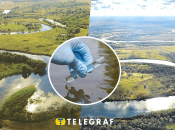 Річки Сейм та Десна