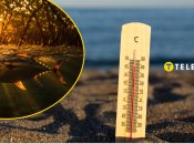 Які види риб страждають від спеки