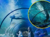 Незабутні враження