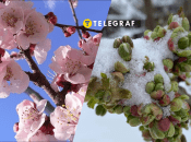 Квітневий сніг