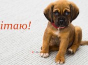 Прикольные пожелания поднимут настроение