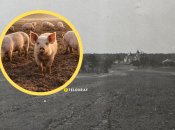 Село Свинарин