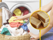 Колаж "Телеграф"