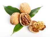 Грецкий орех