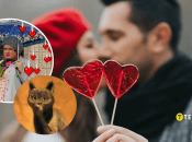 Меми про День закоханих