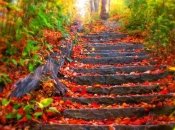 Тепло в октябре еще будет, но не во всех регионах