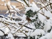 Зима ворвалась в страну