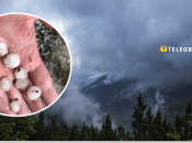 Яремче накрыл сильный град