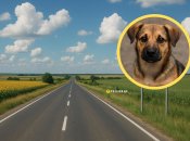 Дорога в Україні